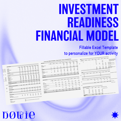 Investment Readiness Financial Model
